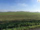 4246817-36218obrazek4.jpg
