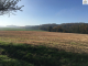 4246818-36218obrazek5.jpg