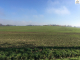 4246819-36218obrazek6.jpg