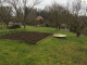 4101776-36533obrazek4.jpg