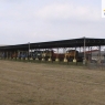 nemovitost