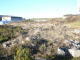 4050621-14548obrazek6.jpg