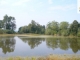 2111017-4462obrazek2.jpg