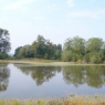 nemovitost