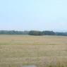 nemovitost